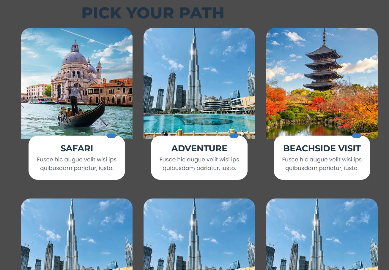MS Travel - Tourism Web Application